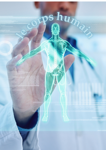 Le corps humain الجِسْمُ البَشَرِيُّ